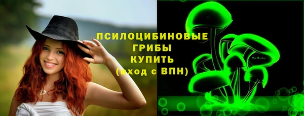 мескалин Гусев