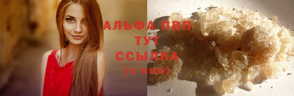 мескалин Гусев