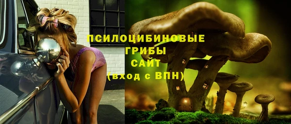 гашишное масло Гусь-Хрустальный