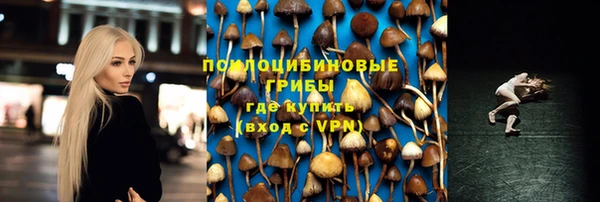 мескалин Гусев