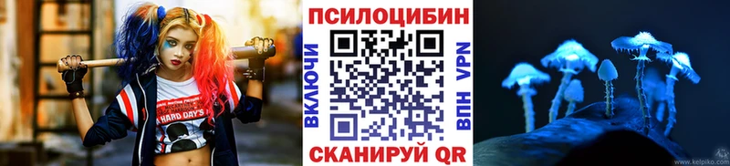 Псилоцибиновые грибы мухоморы  Купить где  Лосино-Петровский 